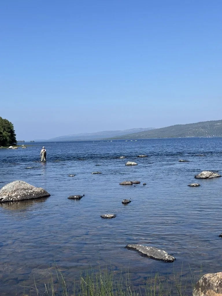 Napp - Inatur har lansert ny app for kjøp av fiskekort.