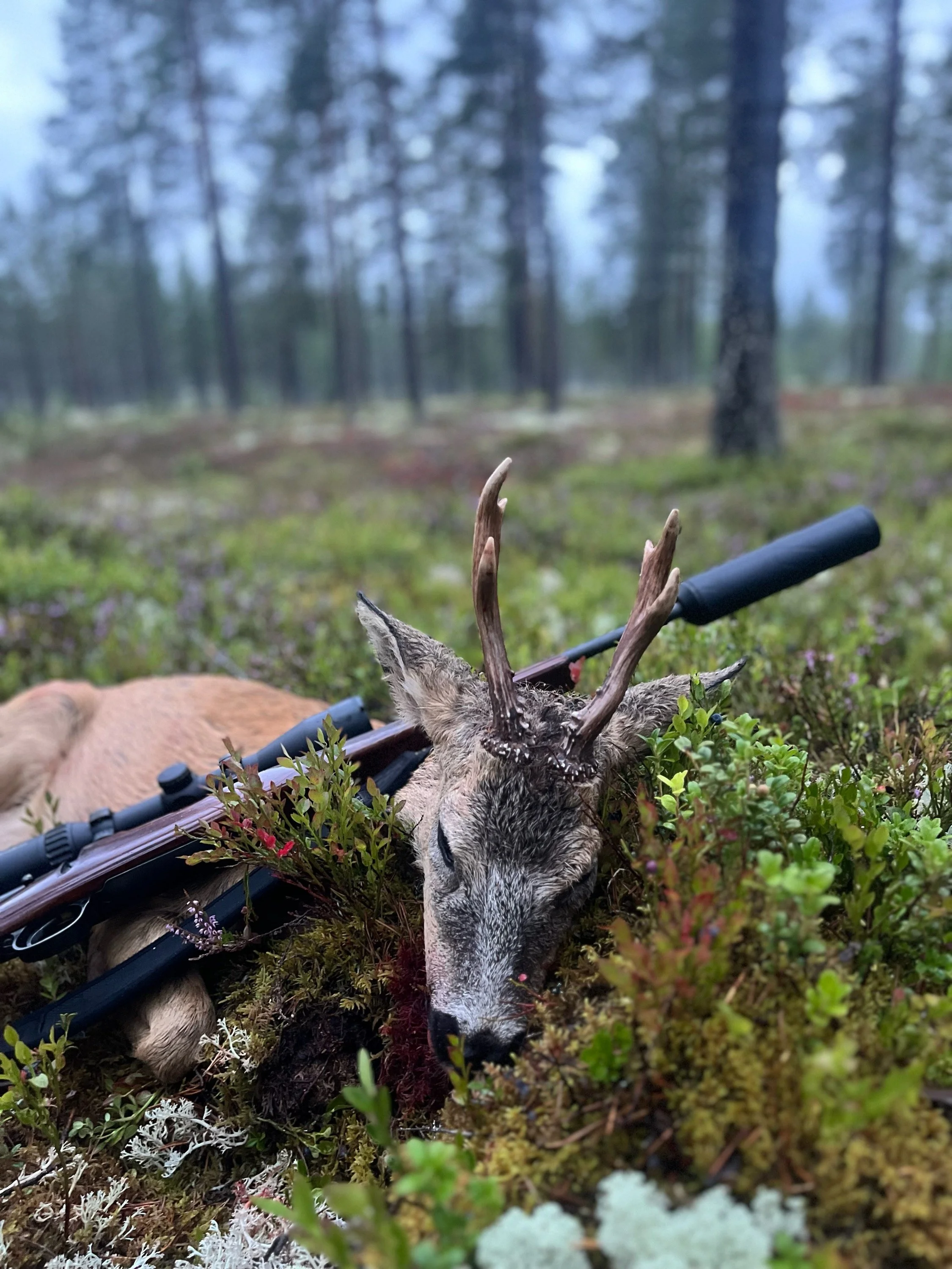 Bukk Henning Sundet 2026.jpg