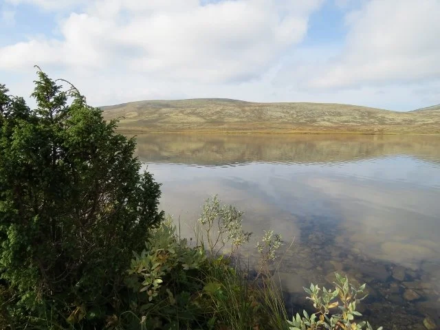 Protokoll fra fjellstyrets møte den 20. august.
