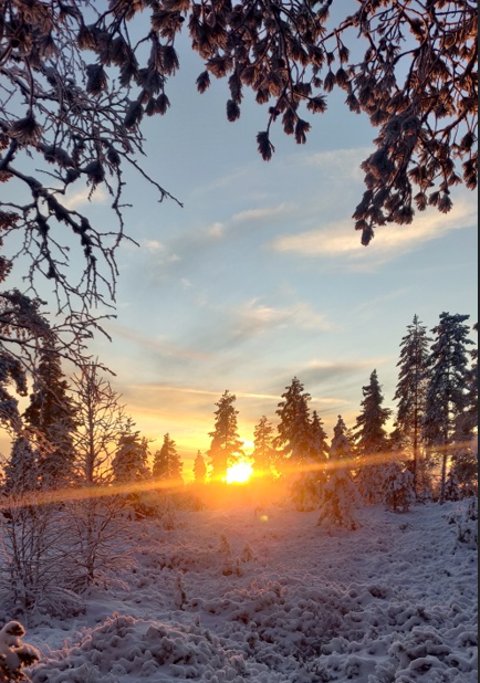 Innkalling til fjellstyremøte den 15.10.2026