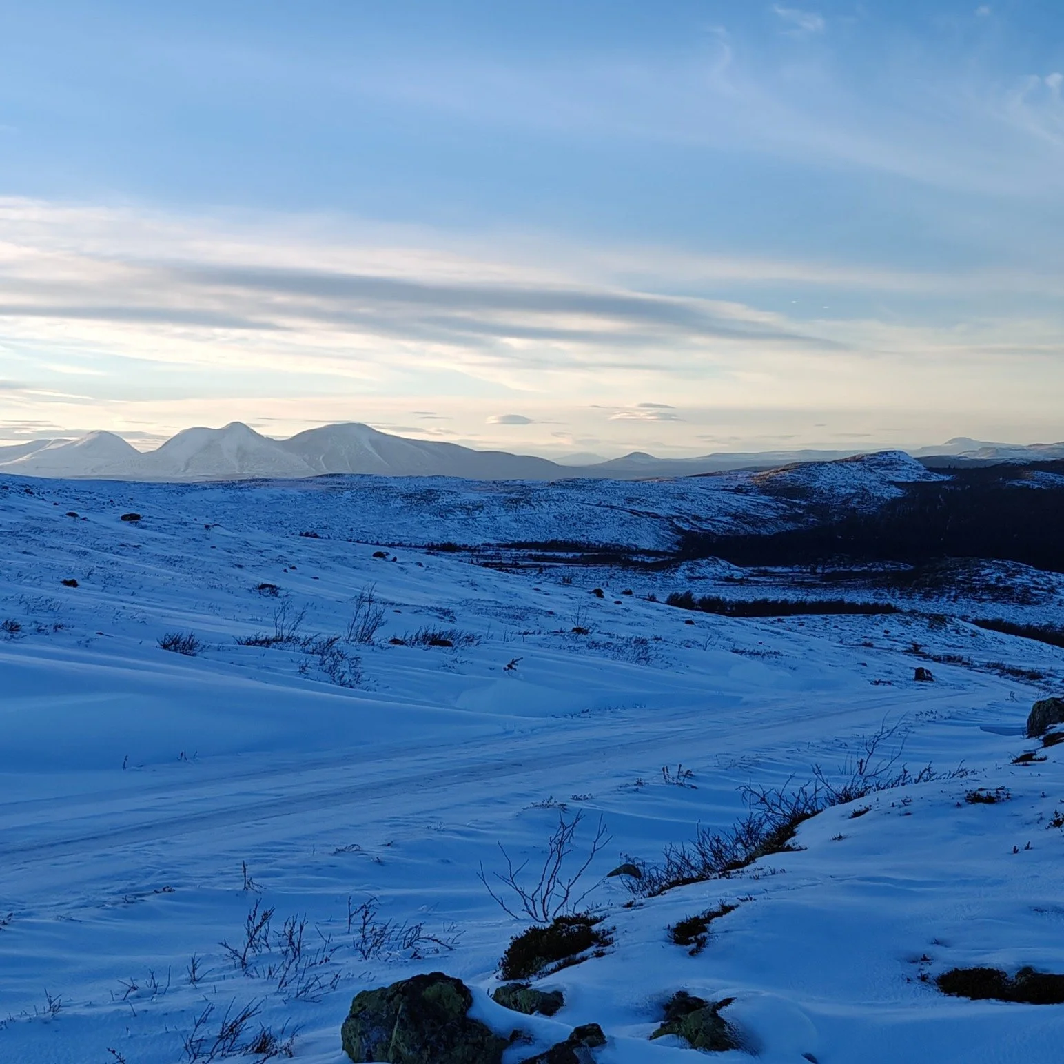 Hvite topper og stillhet over fjellet. ❄️🏔️
Fra Fjellveien/Nys&aelig;terveien i g&aring;r ettermiddag. H&oslash;sten holder fortsatt stand, men vinteren banker forsiktig p&aring; d&oslash;ra i Engerdal. 🤍

#engerdal #fjellstyrene #utp&aring;tur #vi