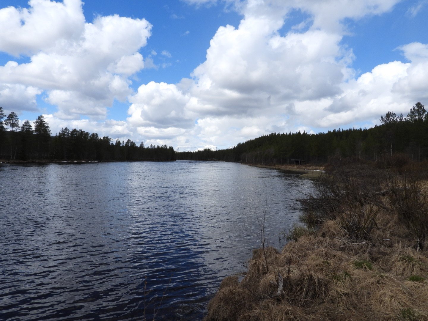 Femundelva 12.05.26 1.JPG