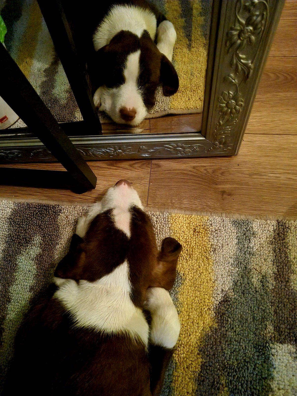Lex falling asleep while staring at his own reflection