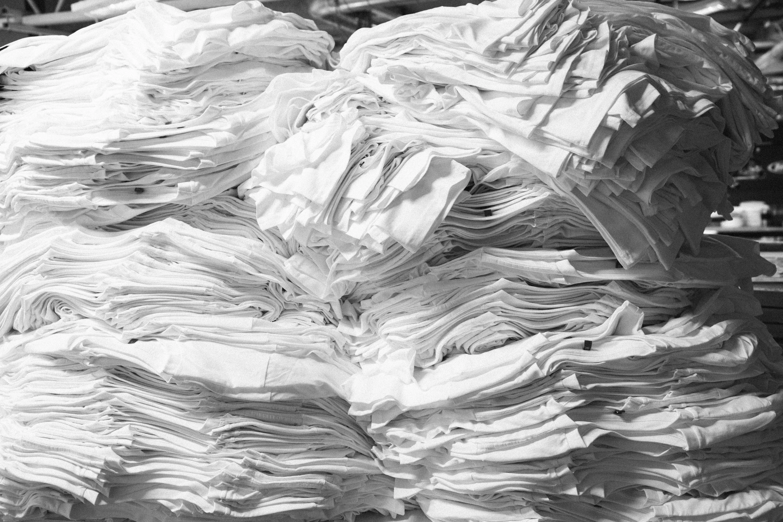 The Ecodesign Regulation