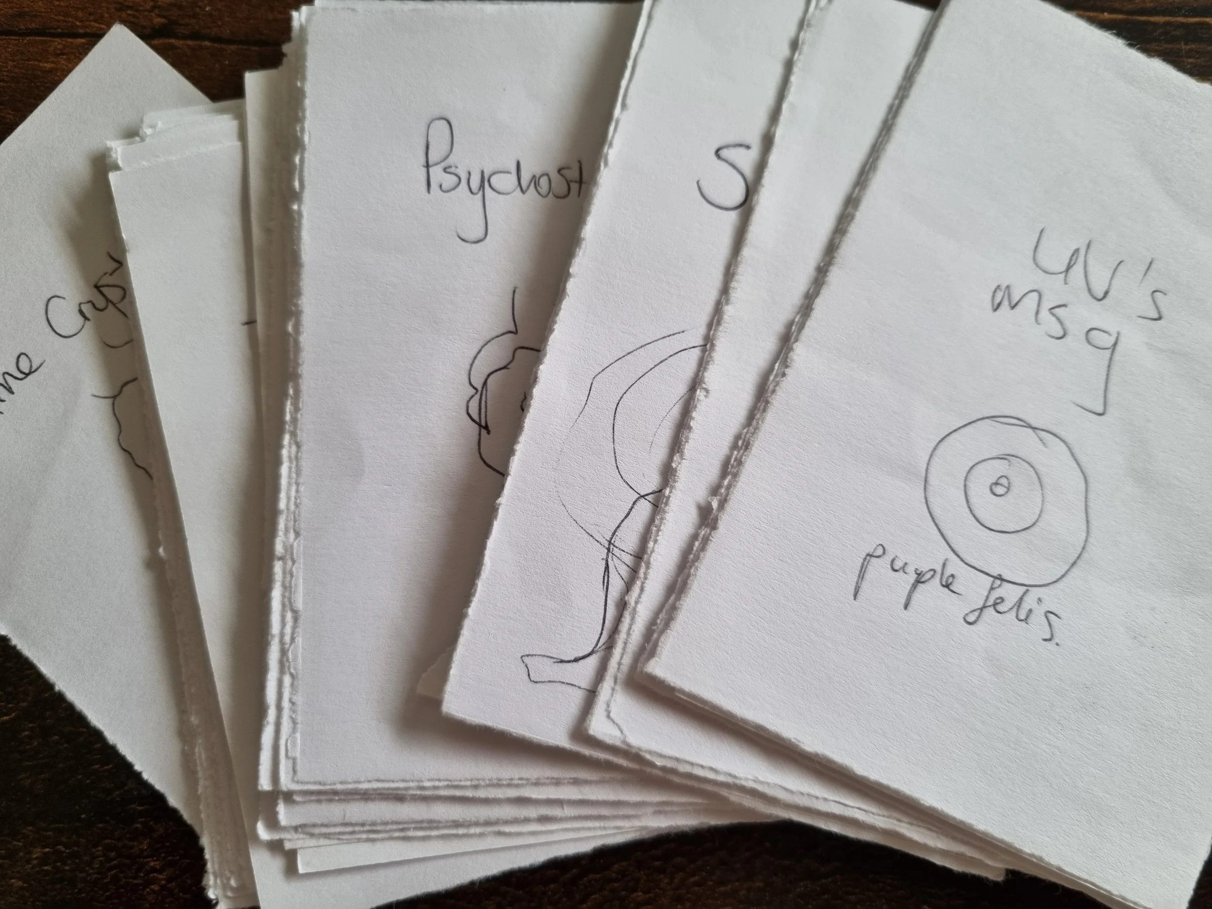 A photo of the first rudimentary Canis card game deck, used during testing of the game during development.