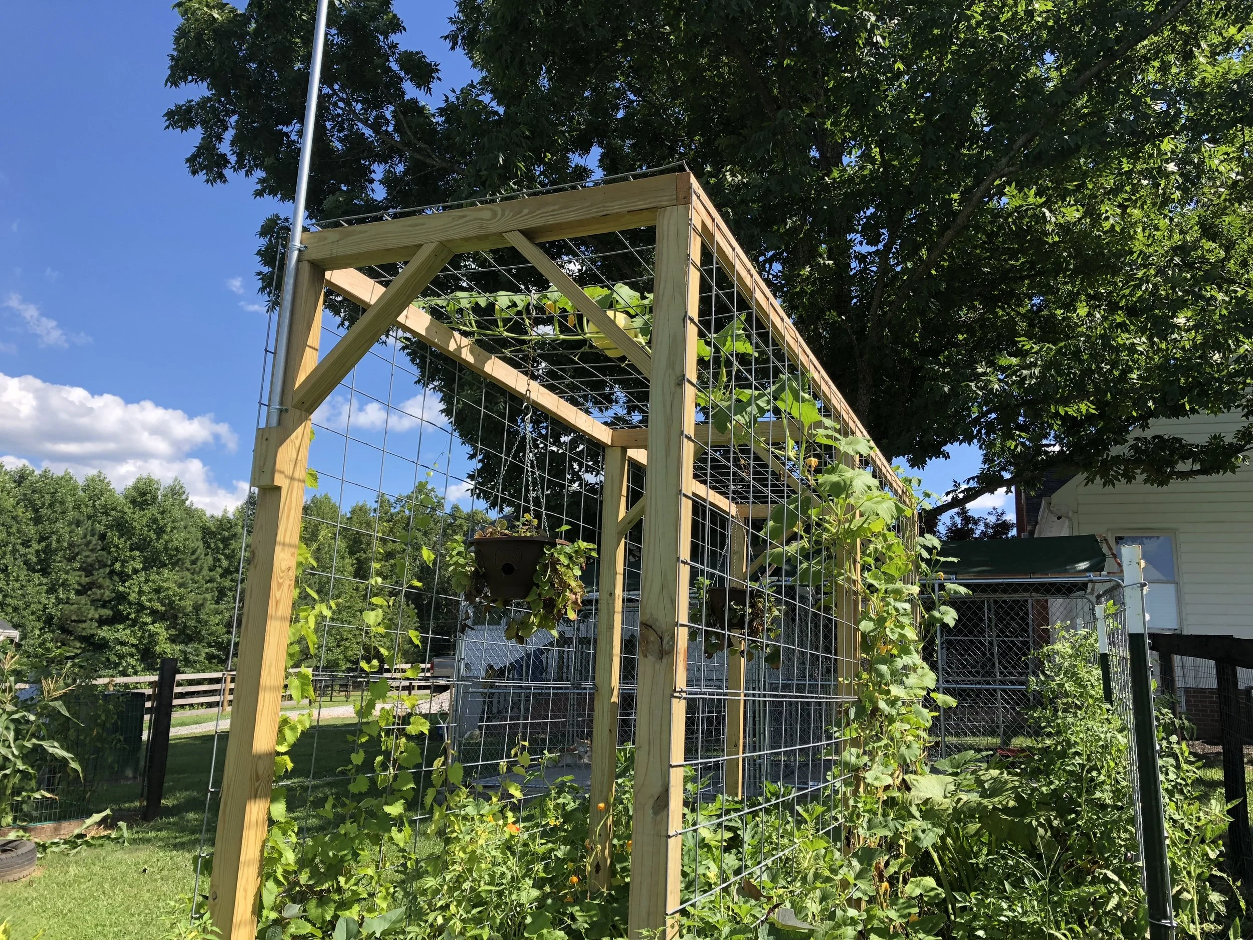 2018-07-18 15.56.38.jpg