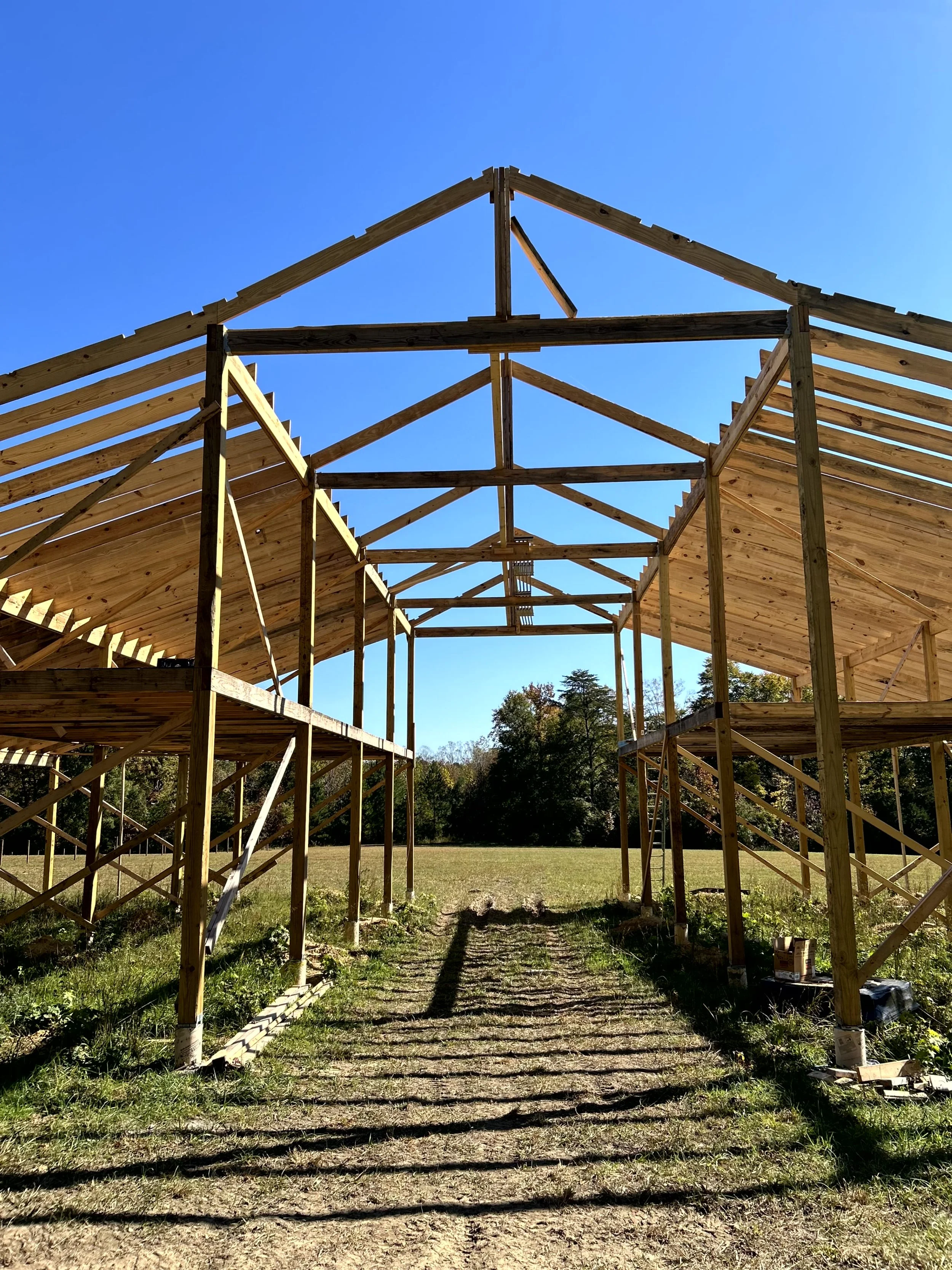 75122206378__1B6EA27B-44F9-4A41-9E98-6A74D3075A97 (1).jpg