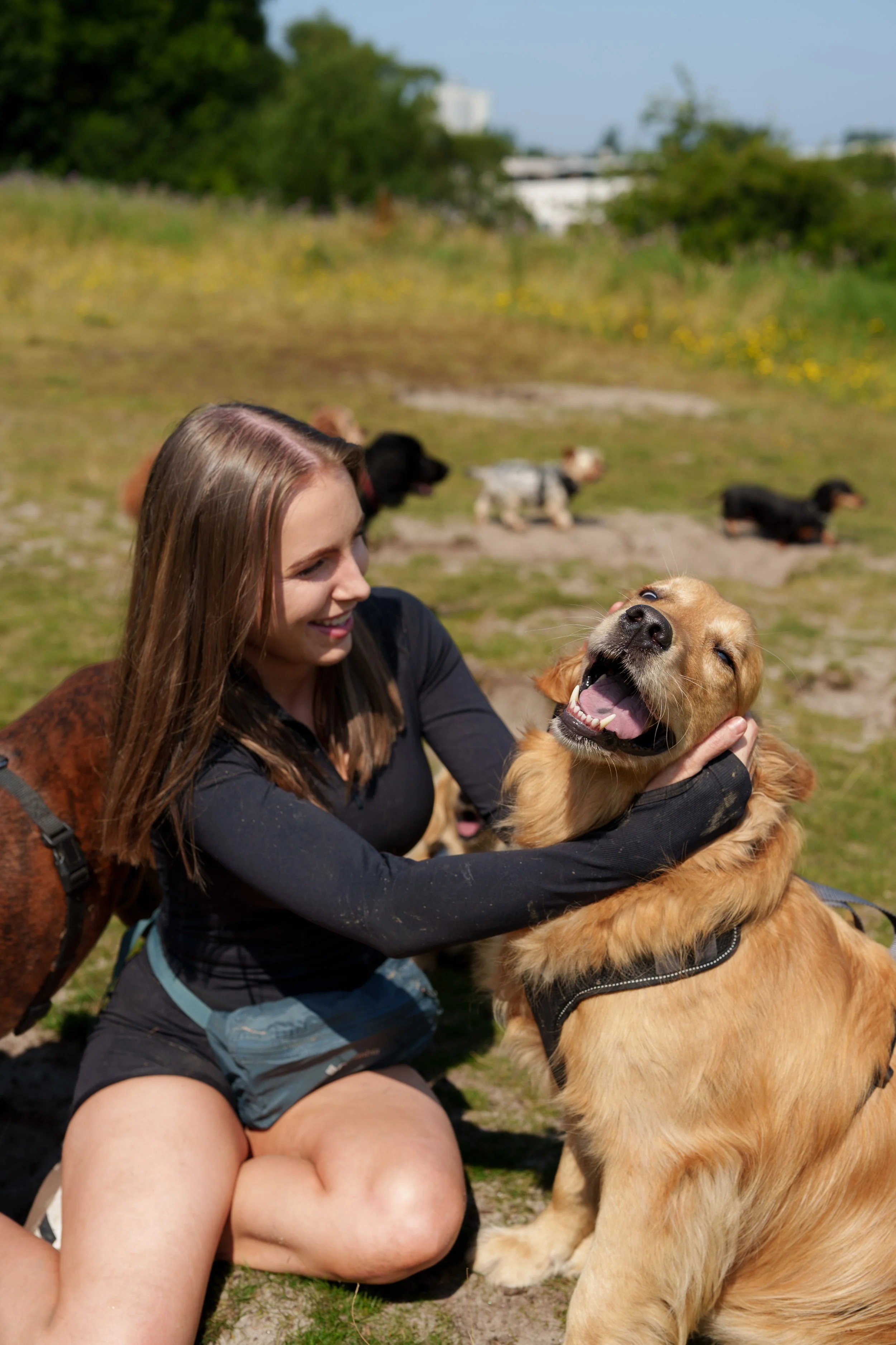 A young woman with long brown hair smiling and hugging a large golden retriever dog outdoors on a grassy field, with a sunny sky and some trees in the background.