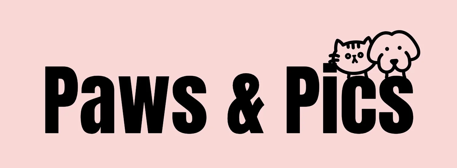 Paws &amp; Pics