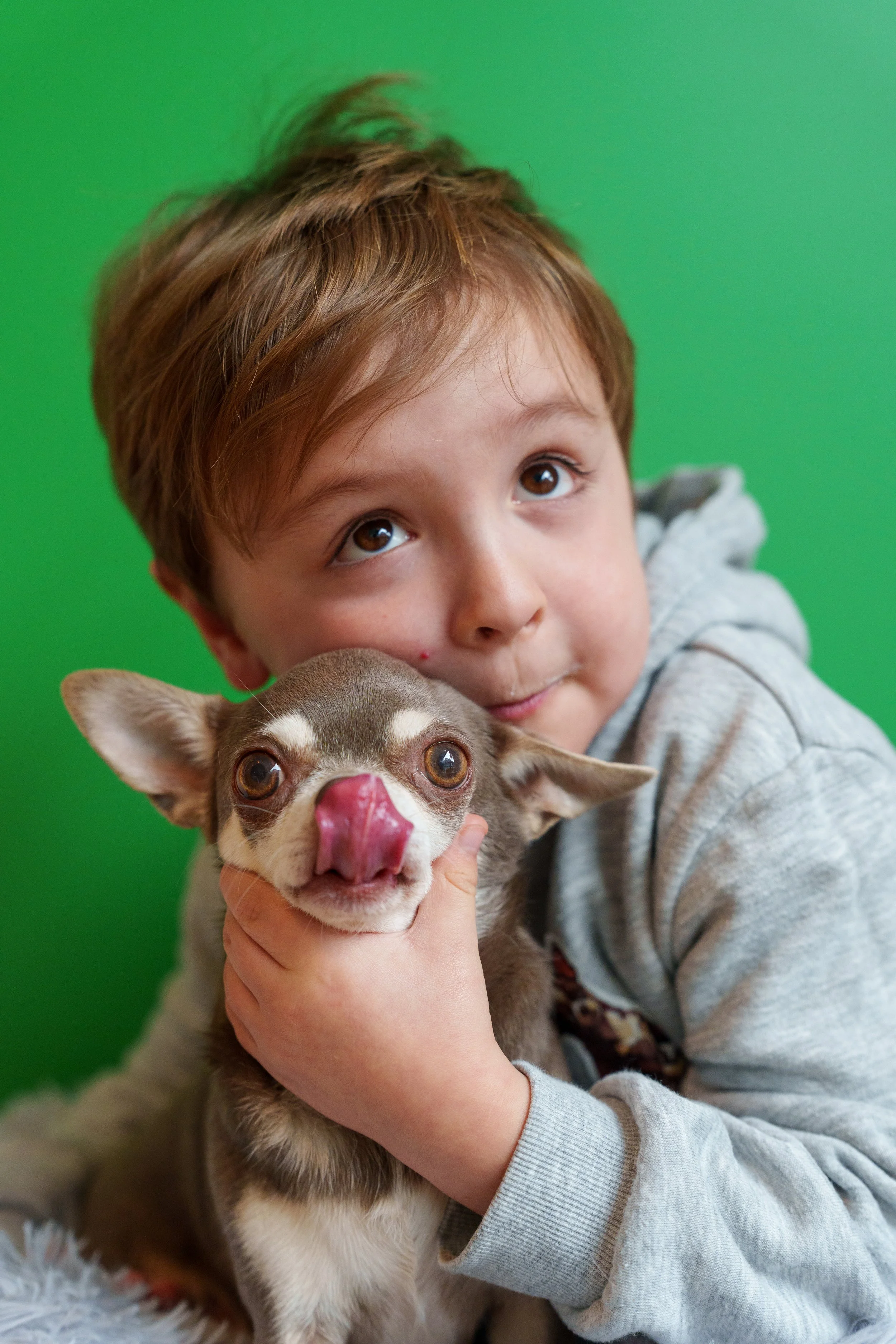 A young boy with brown hair holding a small grey and white Chihuahua with a pink nose against a green background.