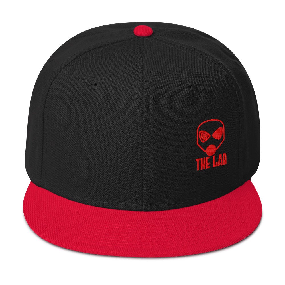 Snapback Hat Small Logo