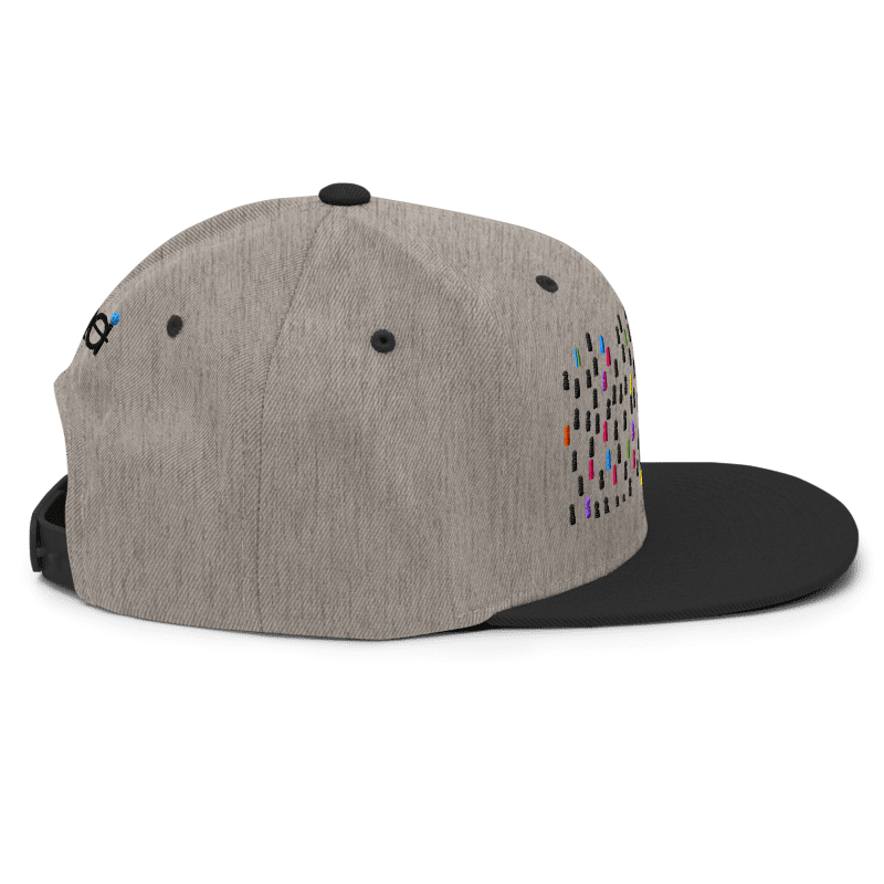 LE iCon snapback hat side.png