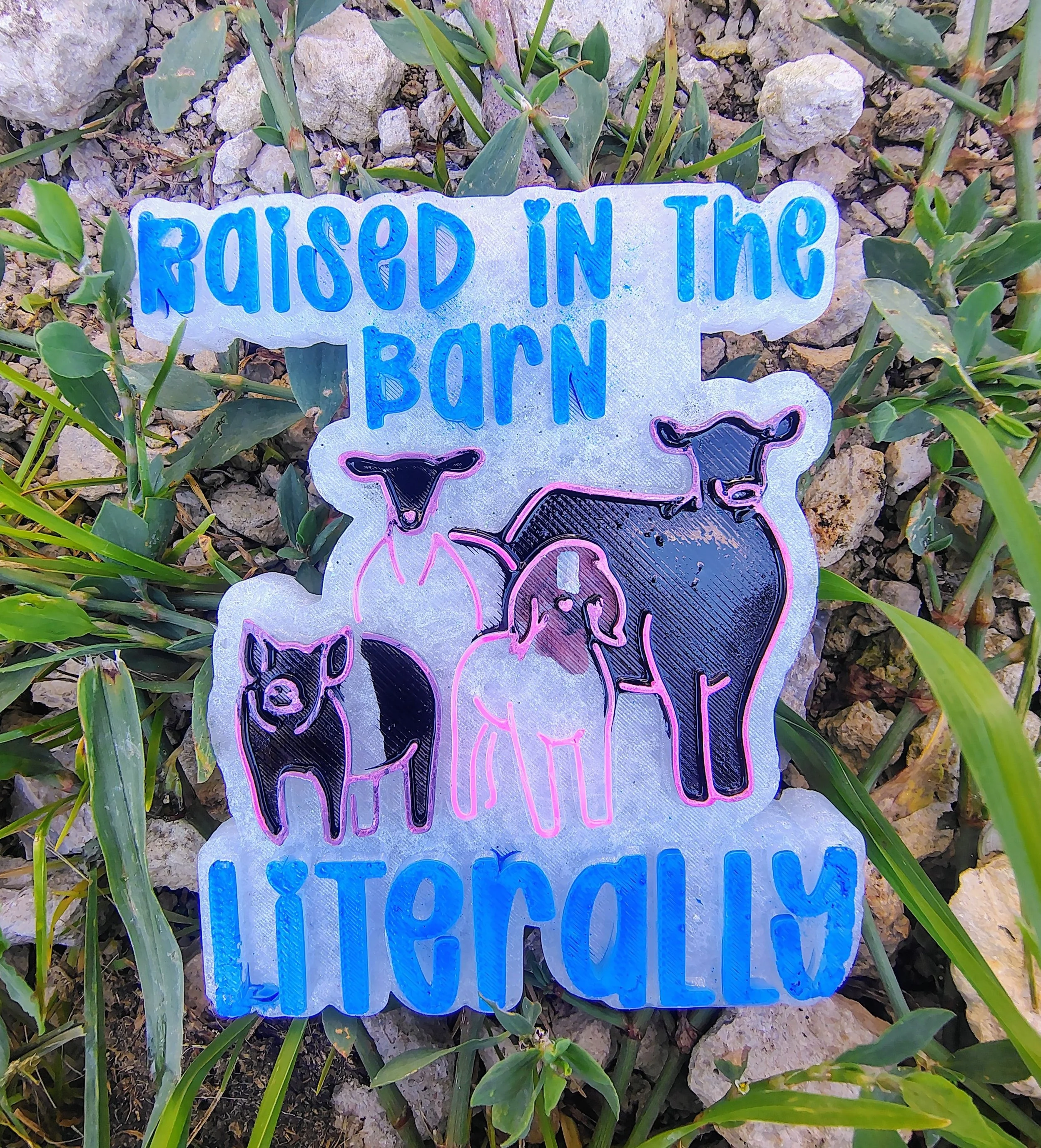 Raised in a Barn... Literally