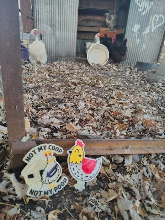 Not my Coop, Not my Poop or Lady Chicken
