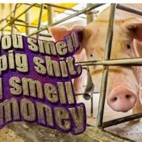 pig shut.jpg