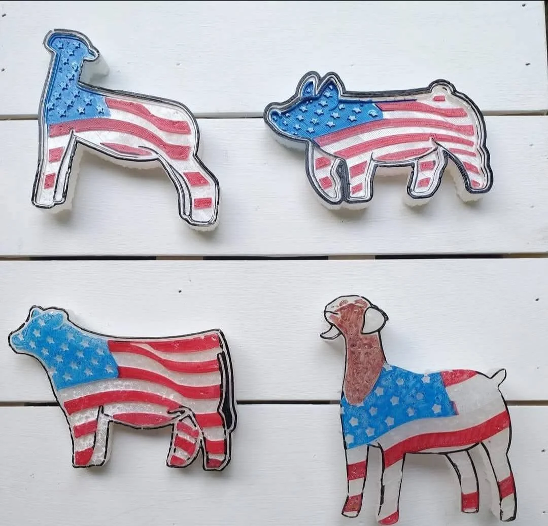 usa.jpg