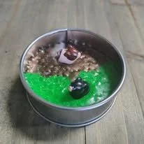 pig.jpg
