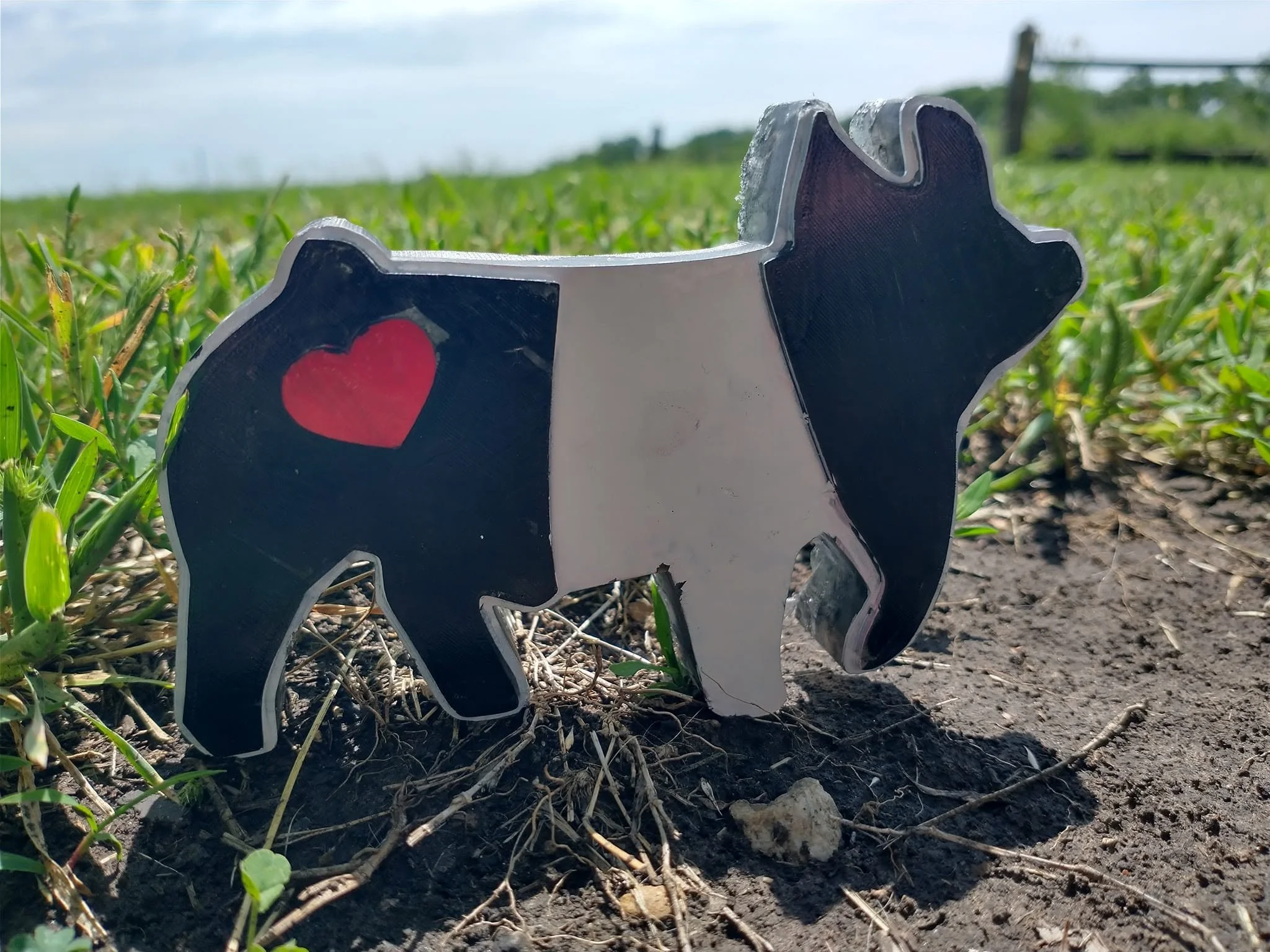 heart pig.jpg