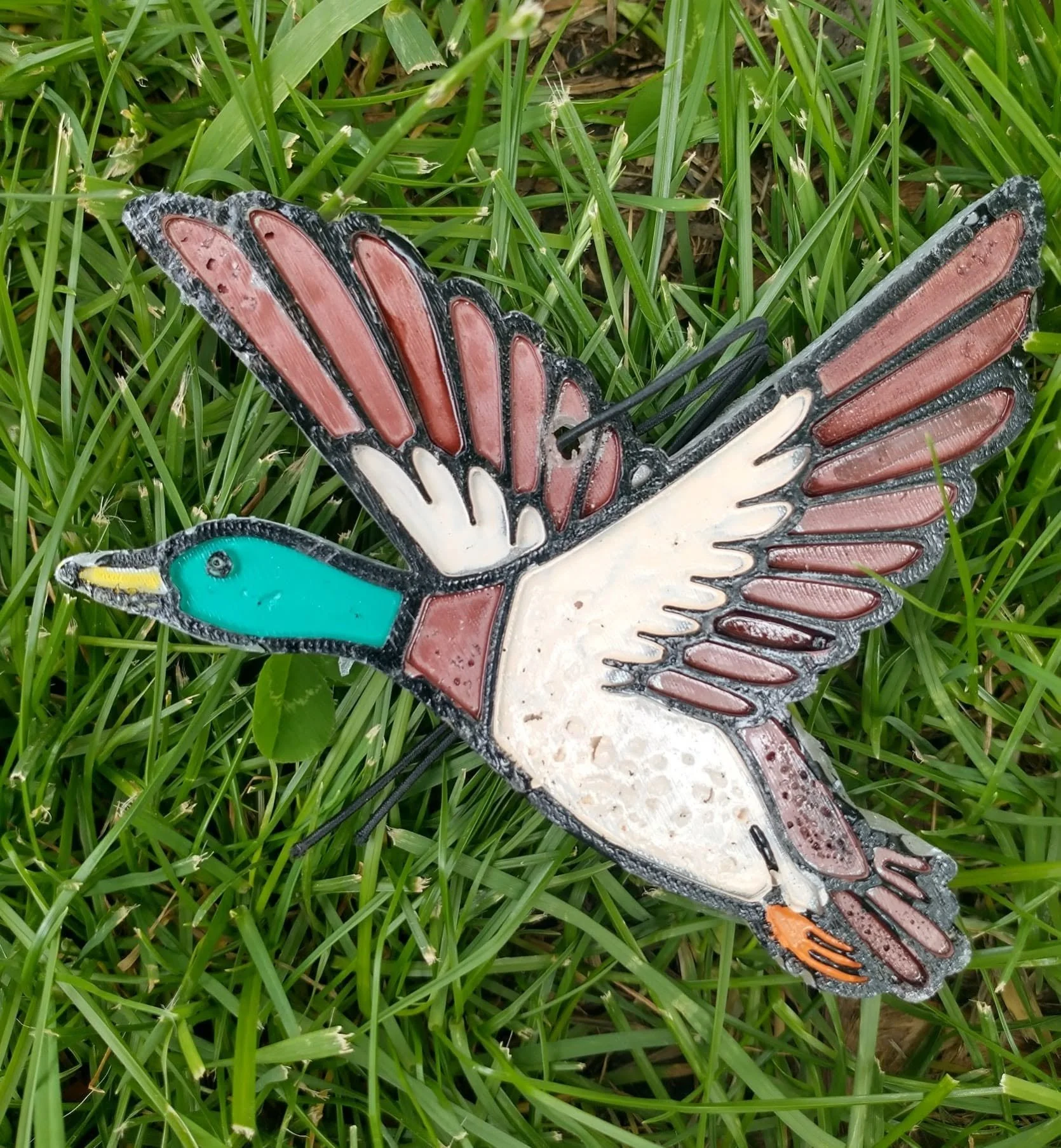 duck.jpg
