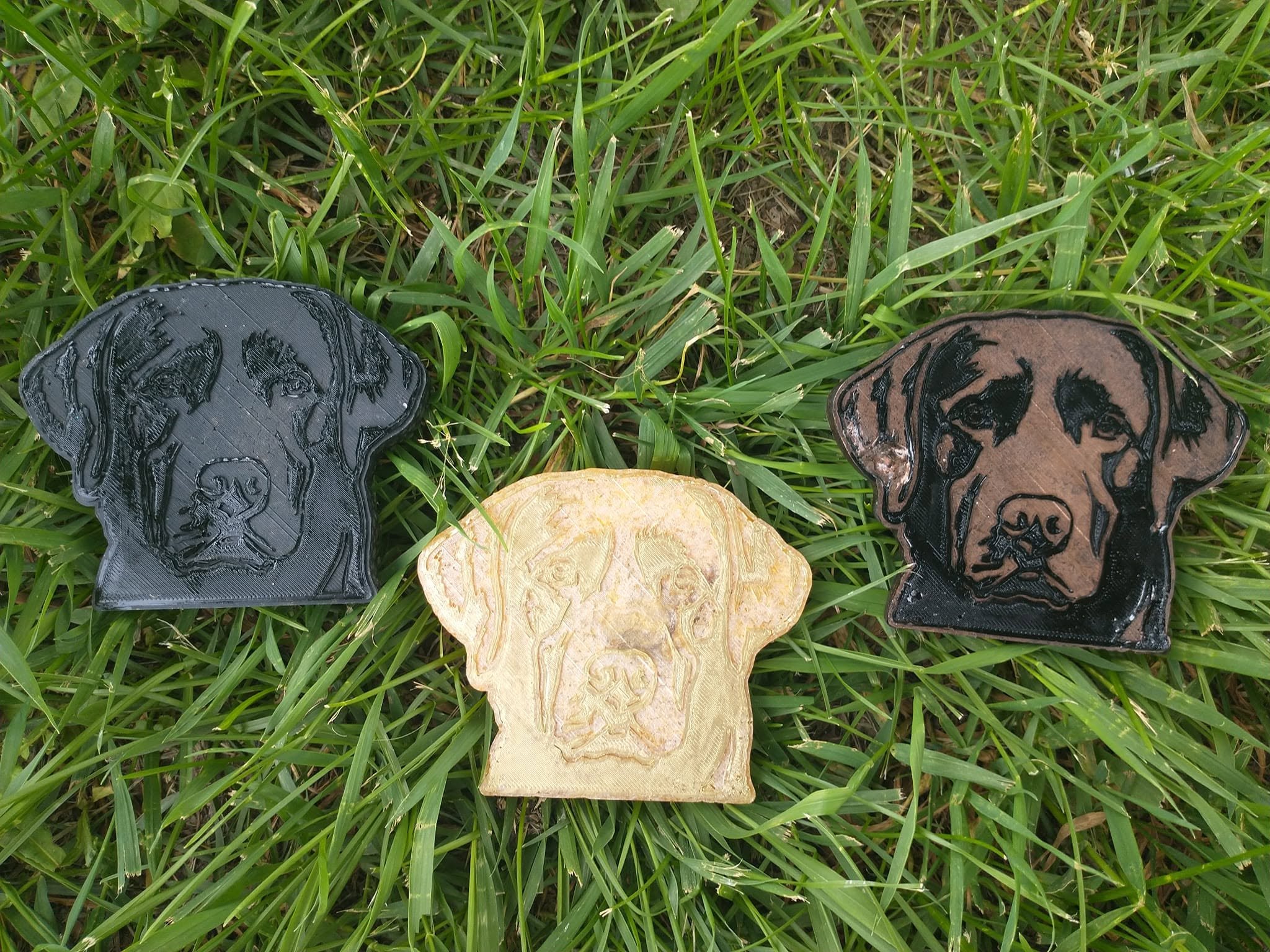 Labs.jpg