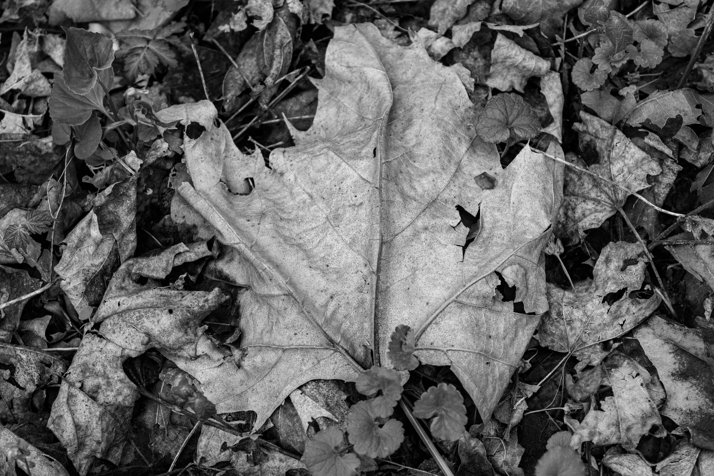 Photo3_FINAL-40.jpg