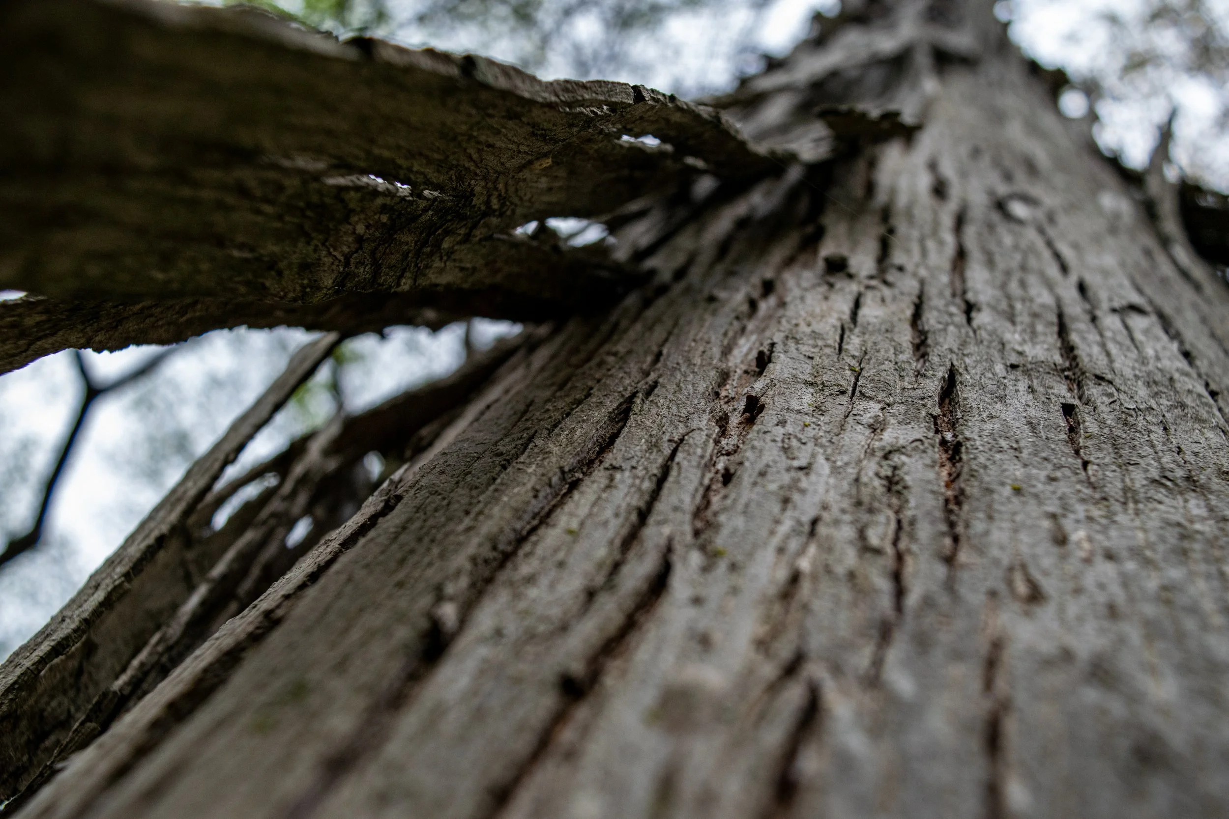 Photo3_FINAL-4.jpg