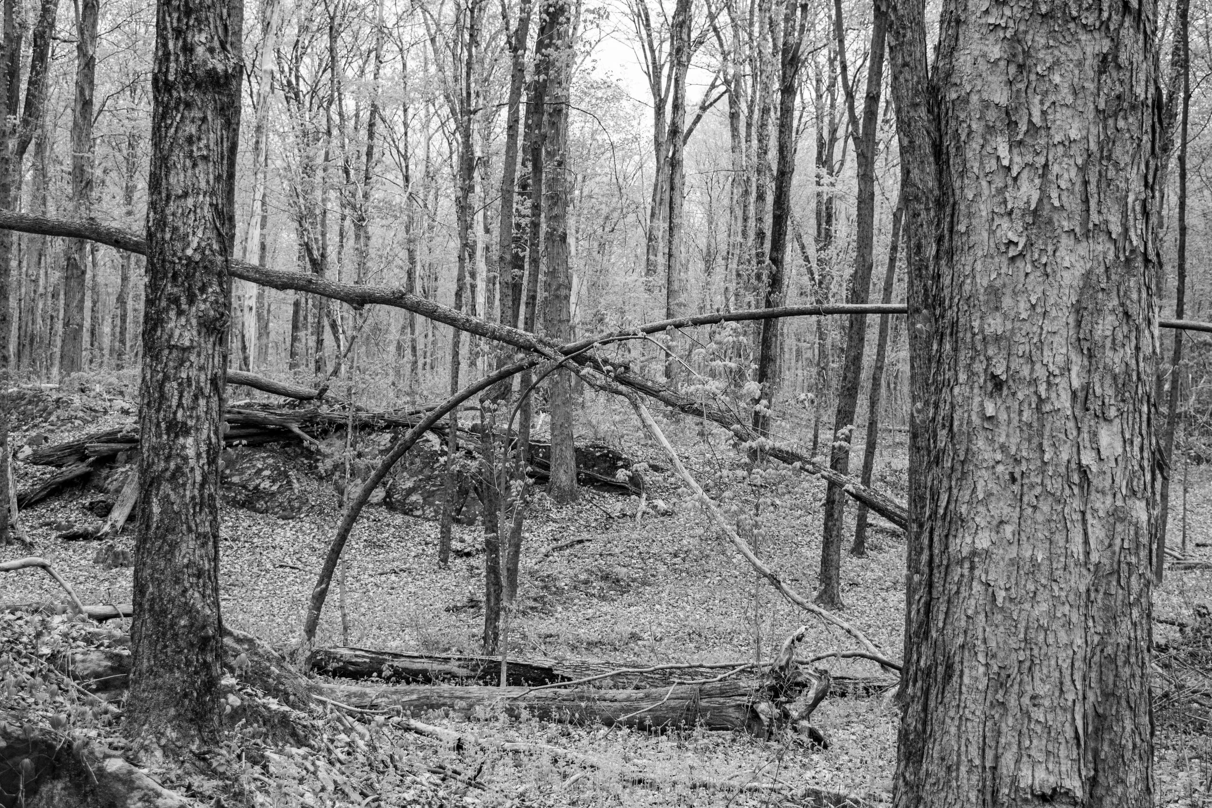 Photo3_FINAL-28.jpg