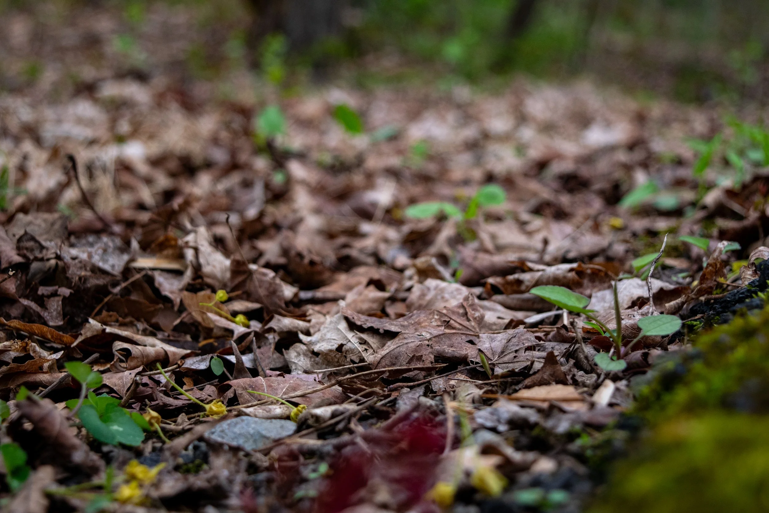 Photo3_FINAL-7.jpg