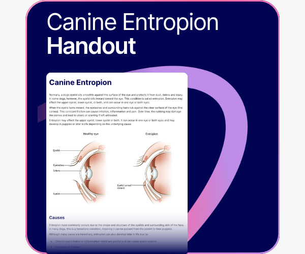 Canine Entropion handout.