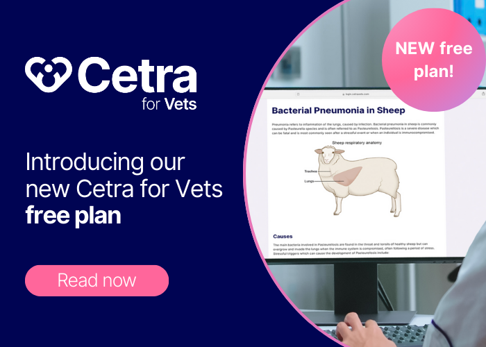 Cetra for Vets is now free: veterinary client education made accessible&nbsp;