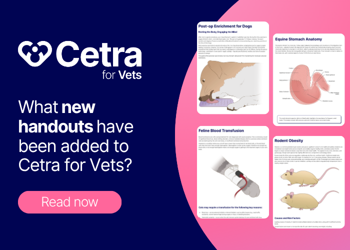 New Pet Owner Education Handouts Added to Cetra for Vets in 2026