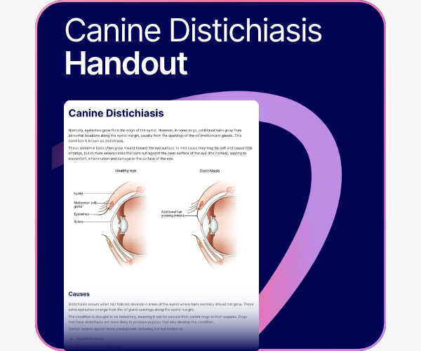 Canine Distichiasis handout.