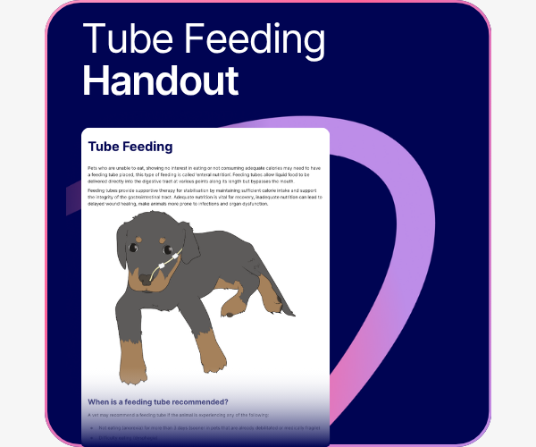tube feeding handout