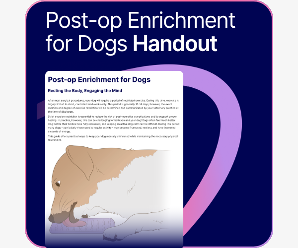 Post-op Enrichment for Dogs handout