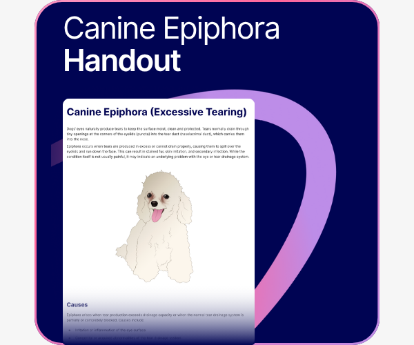 Canine Epiphora handout