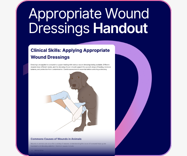 Applying appropriate wound dressings handout