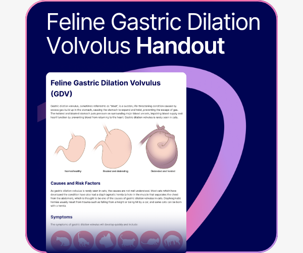 Feline Gastric Dilation Volvolus Handout