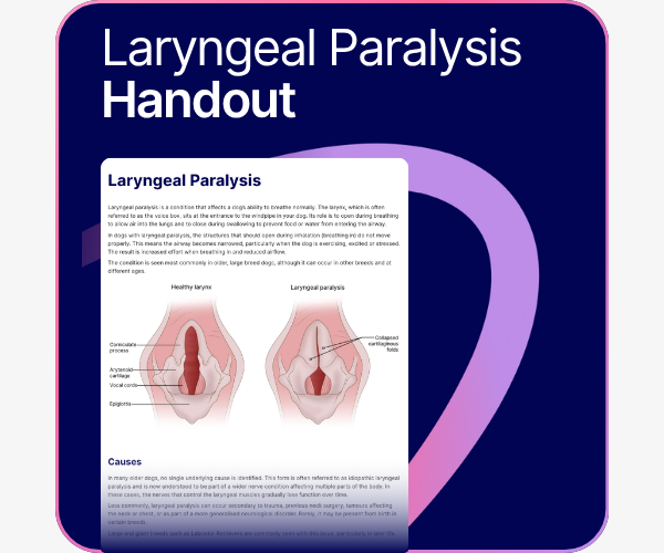 Laryngeal Paralysis handout