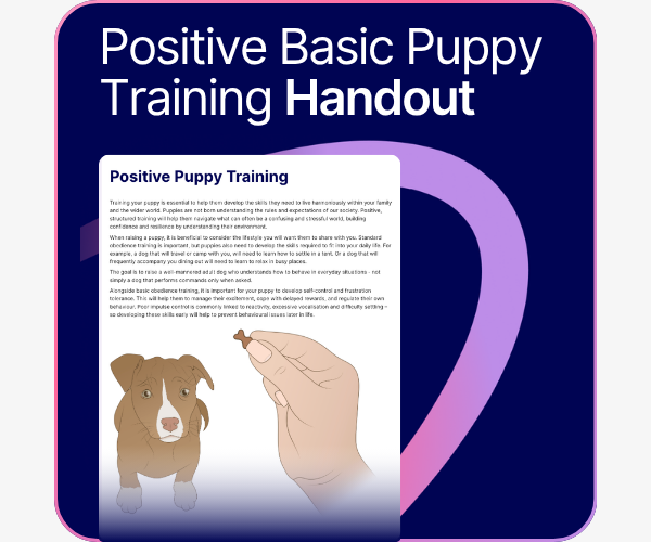 Positive Basic Puppy Training handout