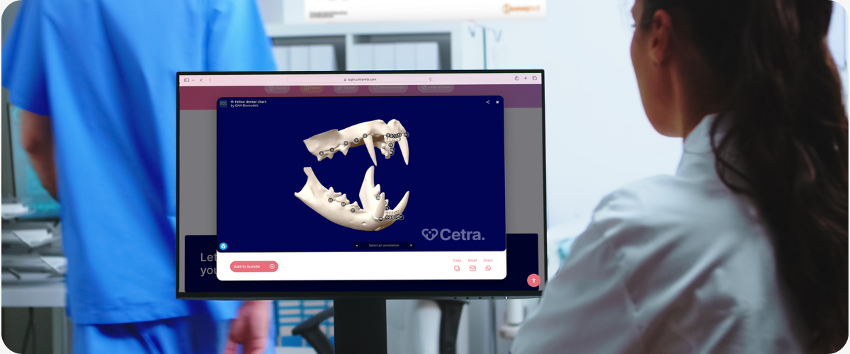 Interactive models graphic