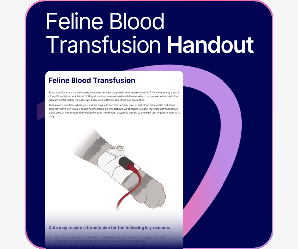 Feline Blood Transfusion Handout