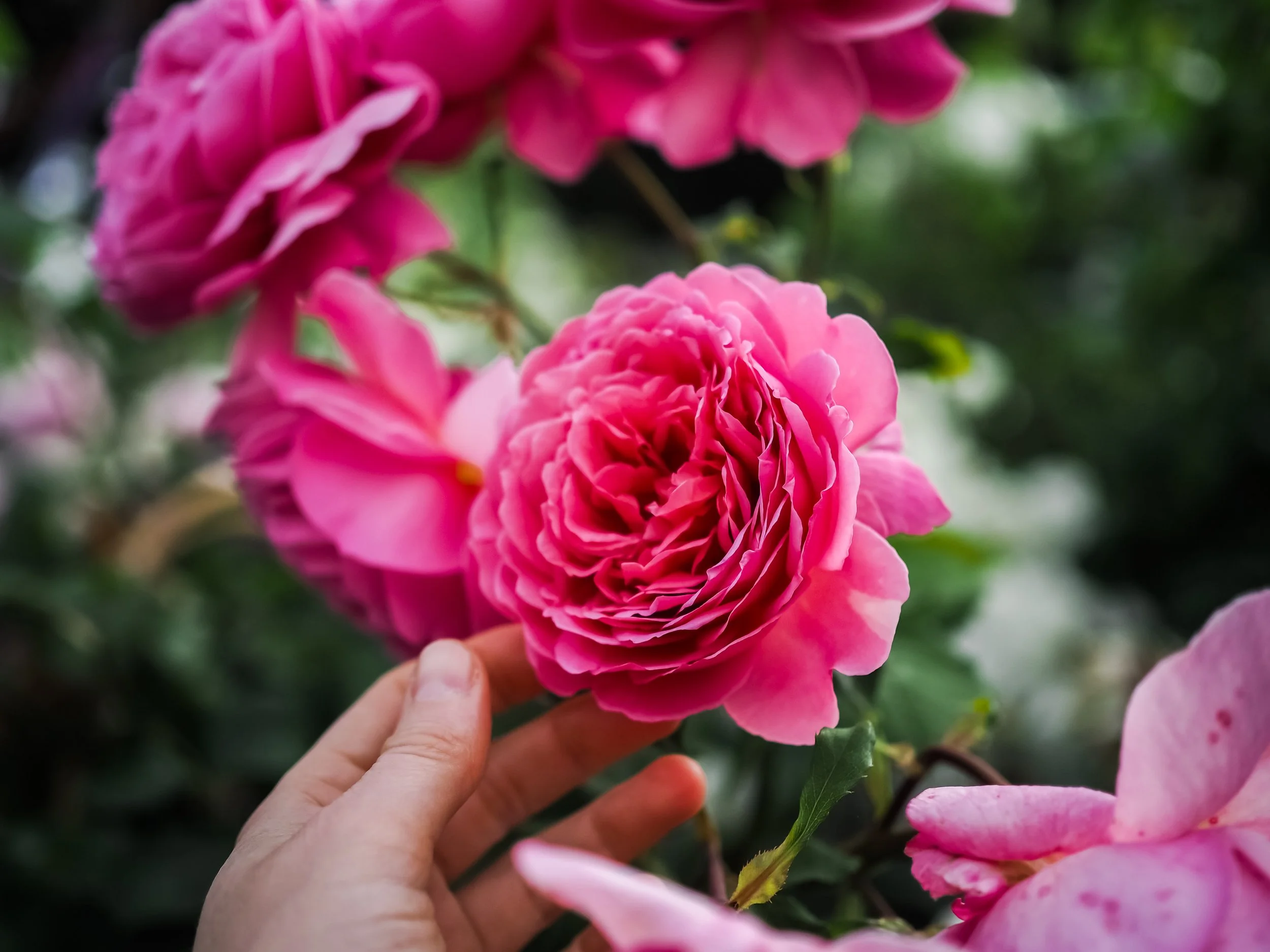 5 Things to do When Your Marketing Feels Overwhelming