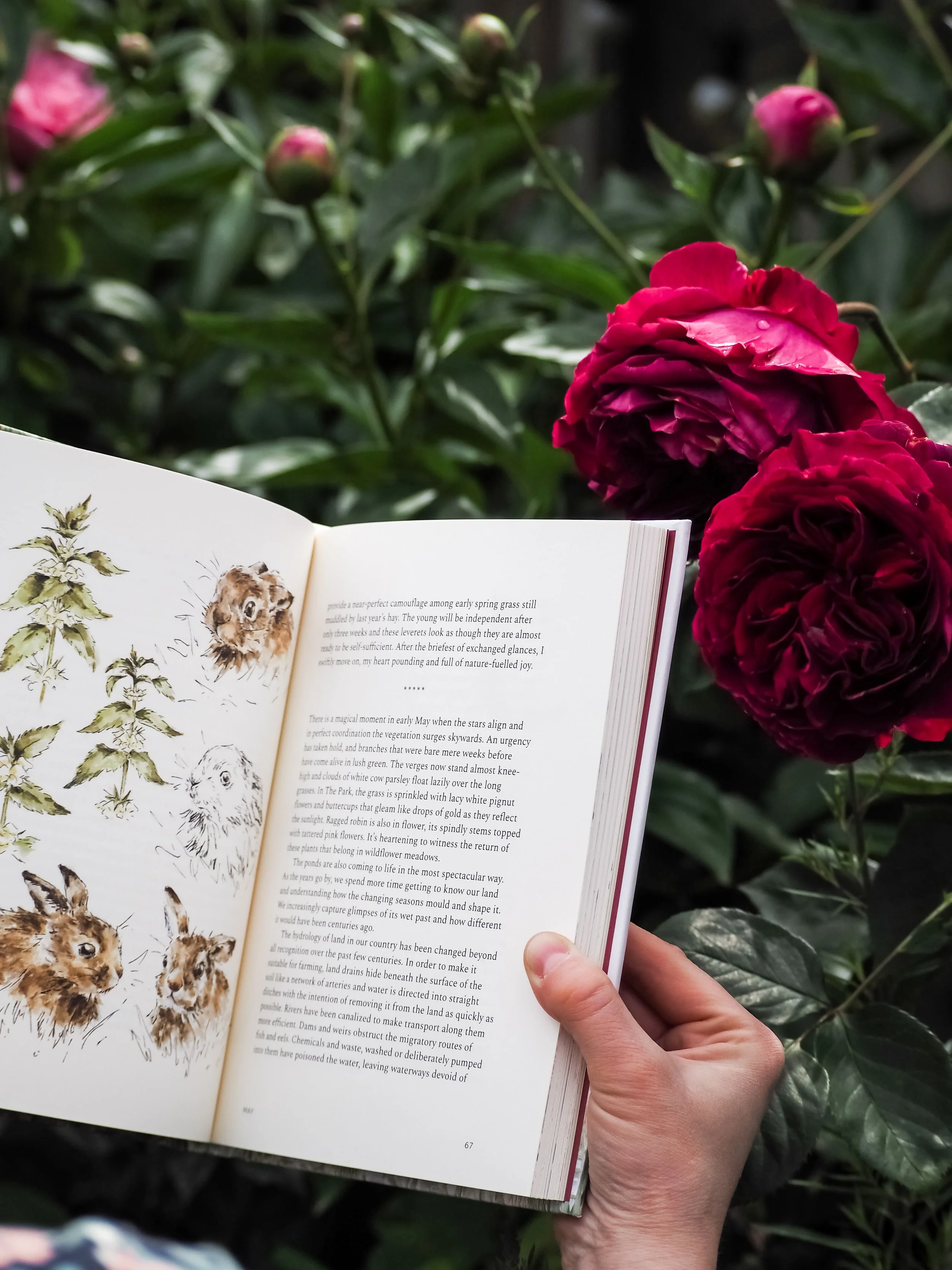 My Favourite Books for a Slow Journey Through the Seasons