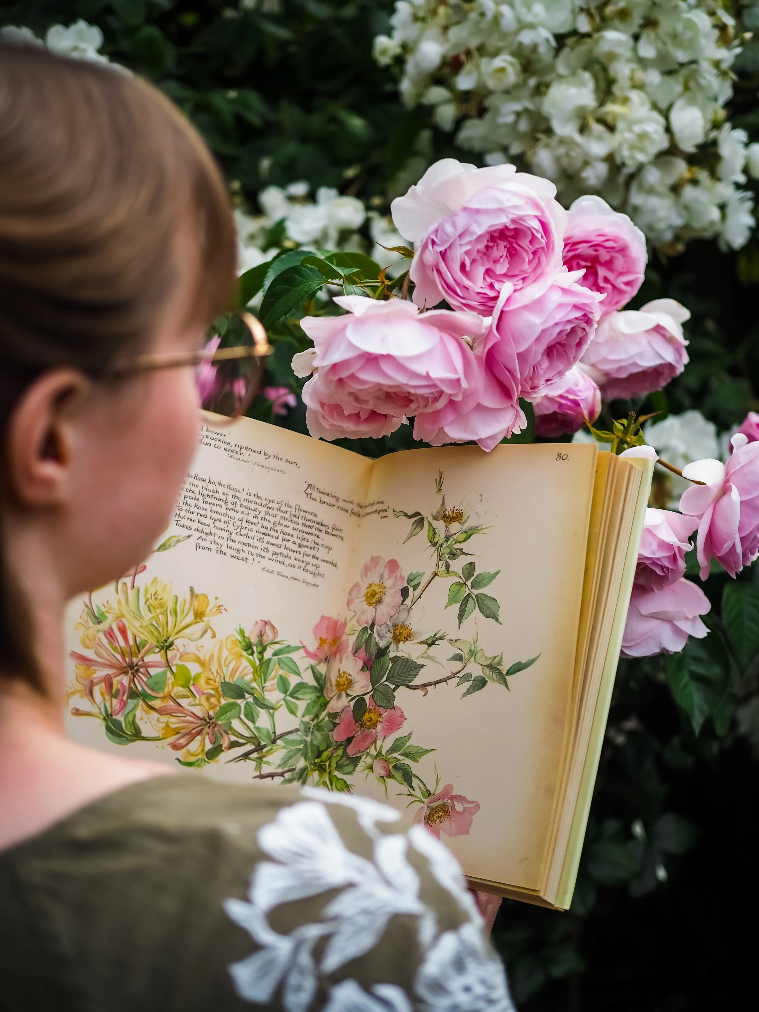 The Country Diary of an Edwardian Lady by Edith Holden