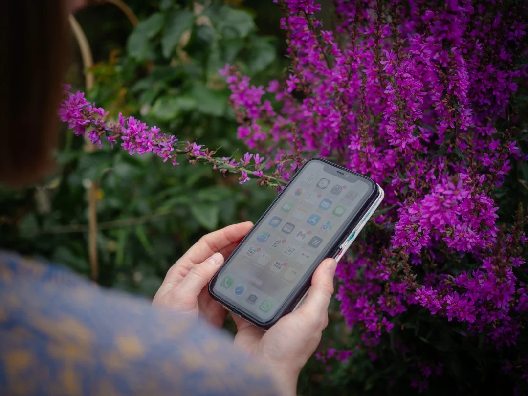What to Post on Instagram on Those “I Have No Ideas” Days
