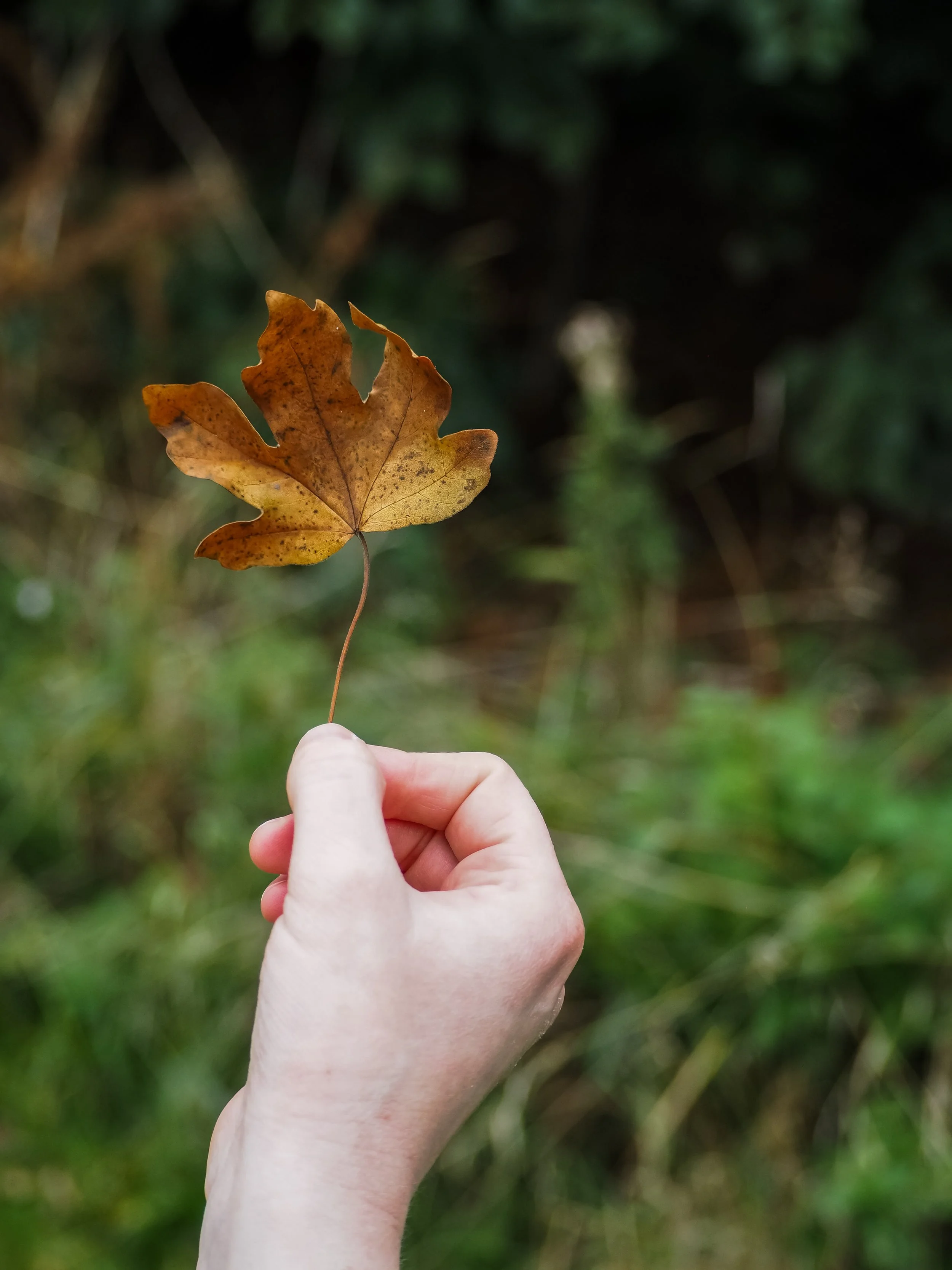 Cosy actions for your small business this autumn