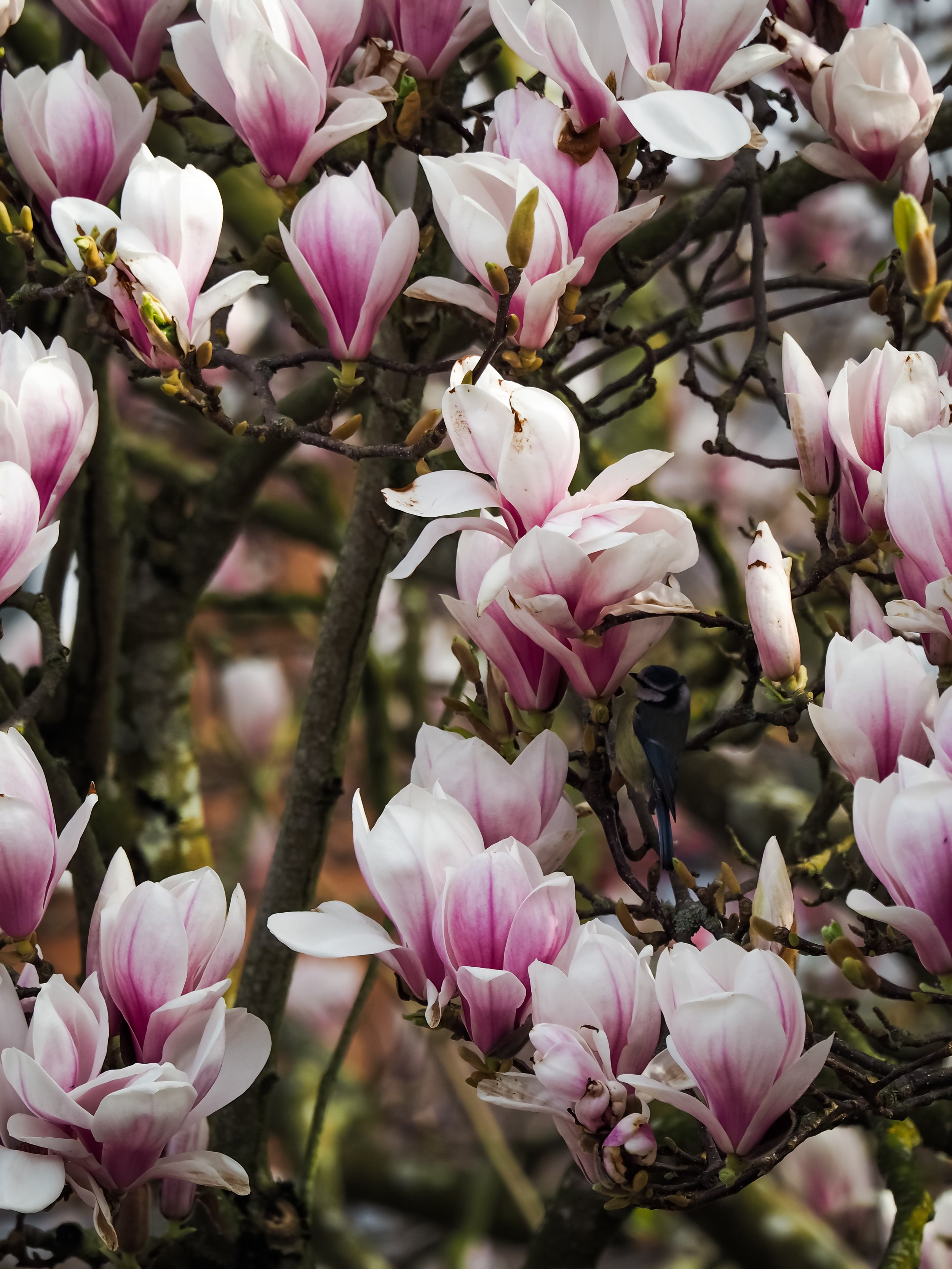 Spring Seasonal Living and the Little Things I’m Loving