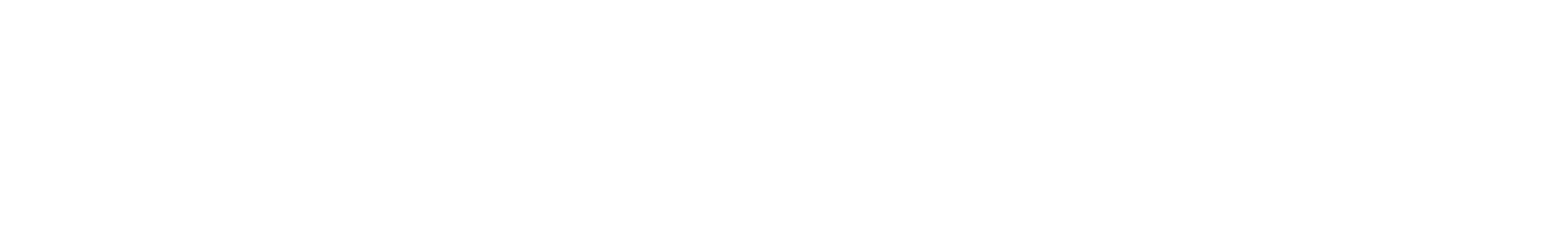 ナイチンゲール nightingale in a beautiful Japanese script