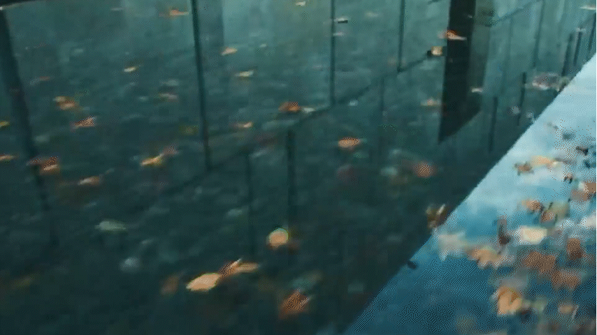 FROM ASIA WITH HEART