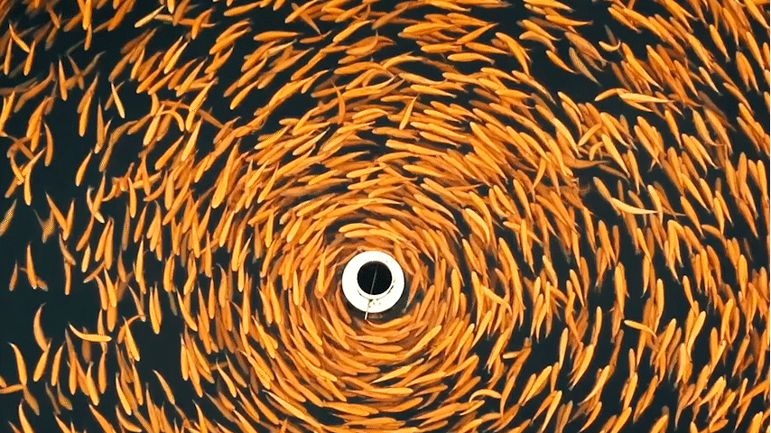 ROMANIA UNFOLDS (EPISODE 3)